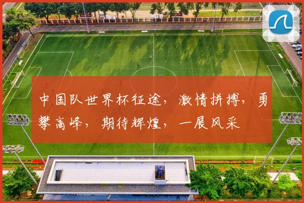 中国队世界杯征途，激情拼搏，勇攀高峰，期待辉煌，一展风采