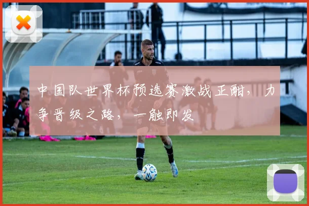 中国队世界杯预选赛激战正酣，力争晋级之路，一触即发