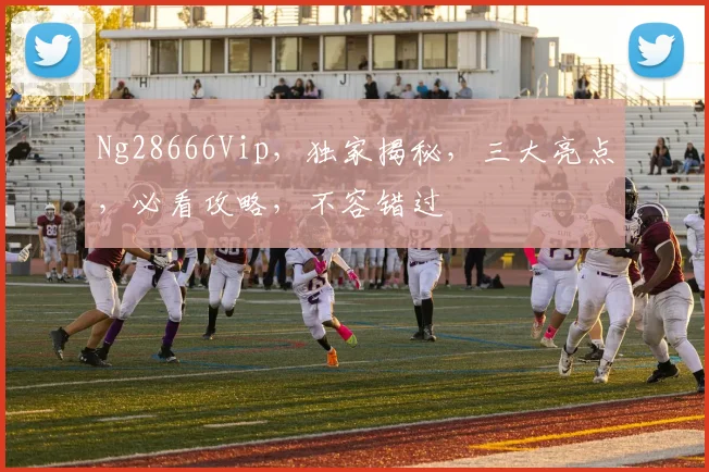 Ng28666Vip，独家揭秘，三大亮点，必看攻略，不容错过