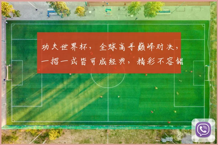功夫世界杯，全球高手巅峰对决，一招一式皆可成经典，精彩不容错过